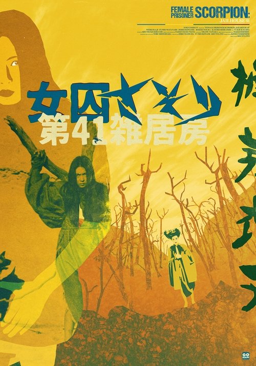 第41号女囚房