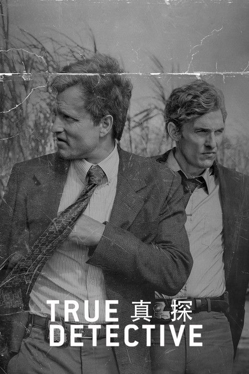真探
