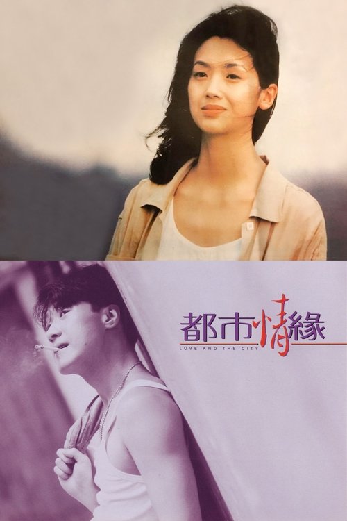 都市情缘
