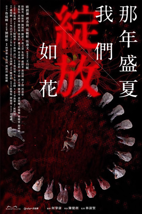 那年盛夏 我们绽放如花