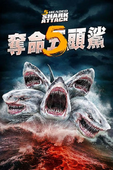 夺命五头鲨